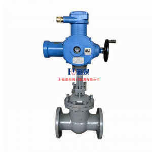 ZB941H-64C DN250隔爆型鑄鋼礦用電動(dòng)閘閥